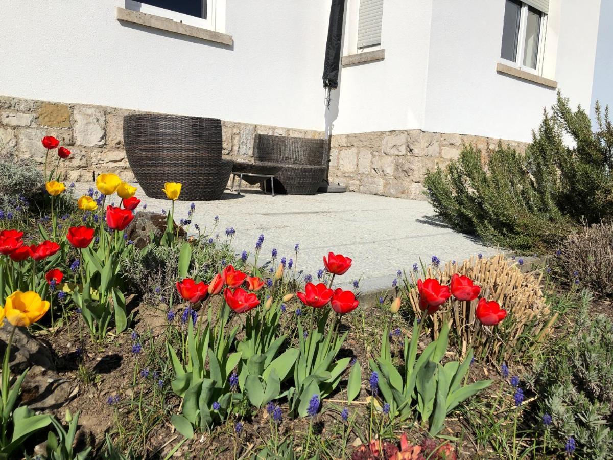 Altstadt Naehe 7 Min Fussweg Ueber Alte Maibruecke Zu Pension Mit Balkon & Garten, Ideal For Long Stay, Relocation Оксенфурт Екстер'єр фото